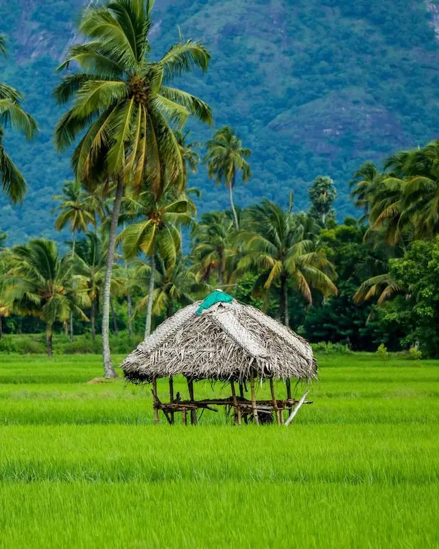 Kerala
