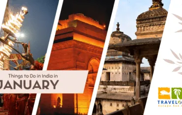 Things to Do in India in January