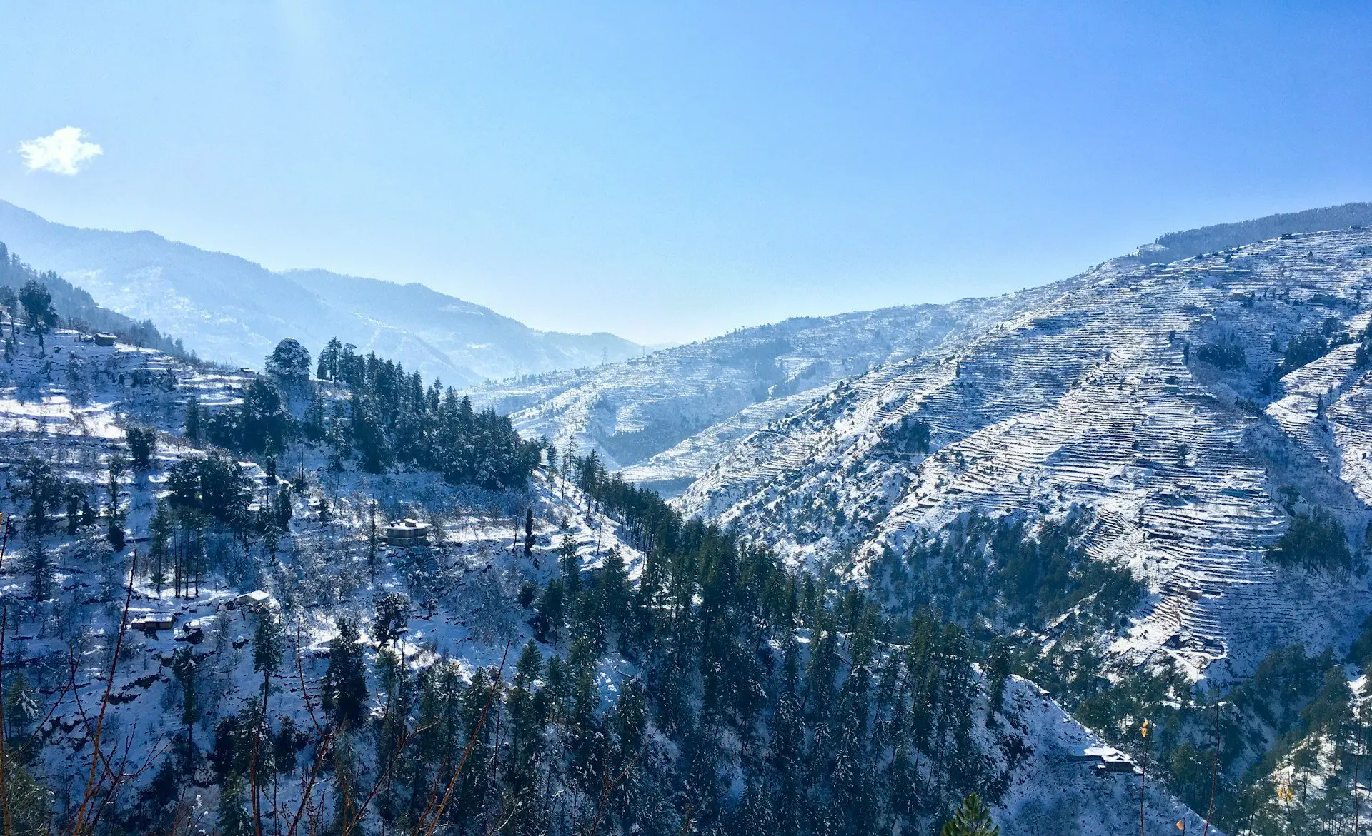 Shimla