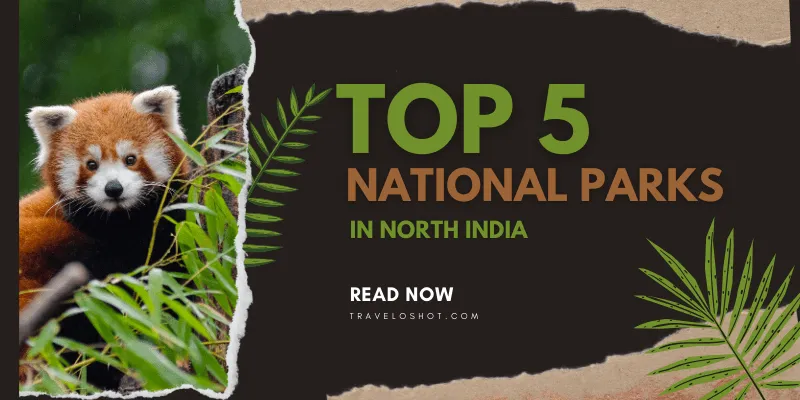 The Top 5 National Parks in North India to Visit