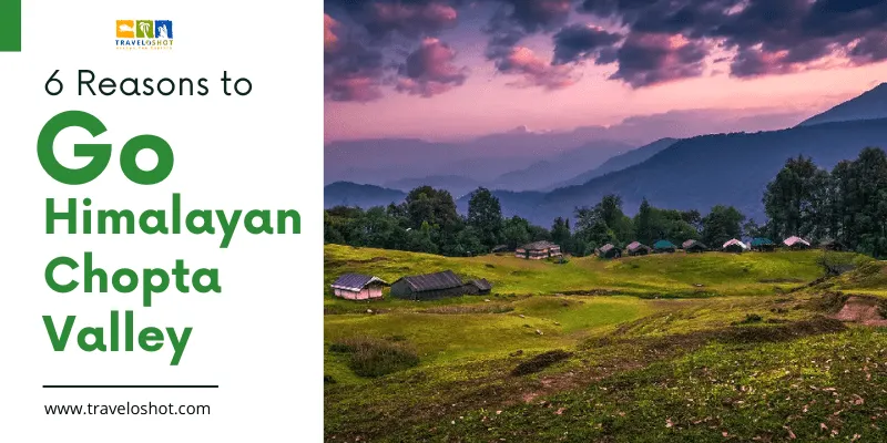 Himalayan Chopta Valley: 6 Reasons to Go There