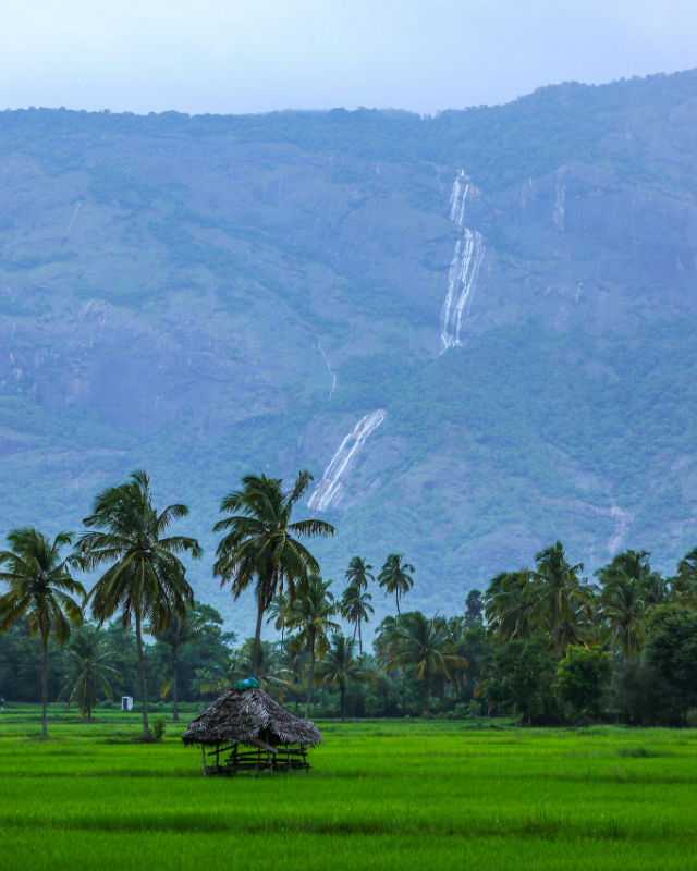 Kerala