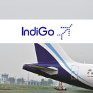 indigo airlines offers